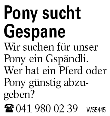 Pony sucht Gespane