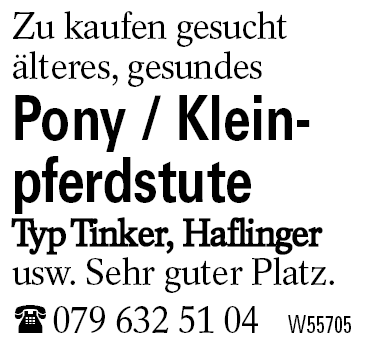 Pony / Kleinpferdstute