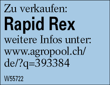Rapid Rex