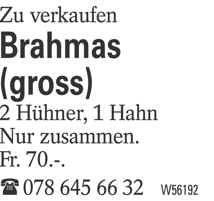 Brahmas (gross)
