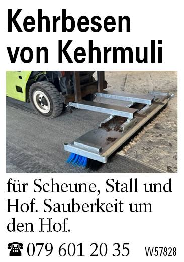 Kehrbesen von Kehrmuli