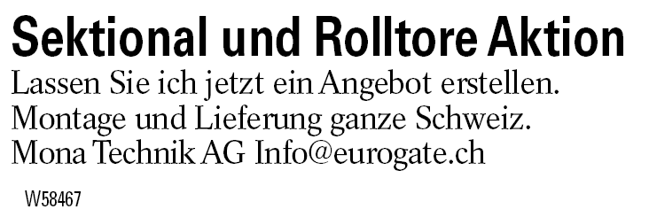 Sektional und Rolltore Aktion