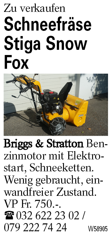 Schneefräse Stiga Snow Fox