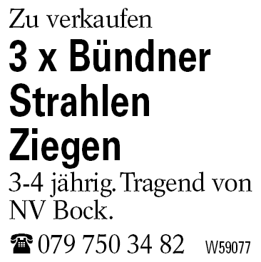 3 x Bündner Strahlen         Ziegen