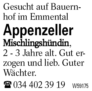 Appenzeller