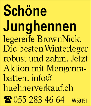 Schöne         Junghennen