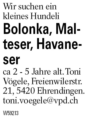 Bolonka, Malteser, Havaneser