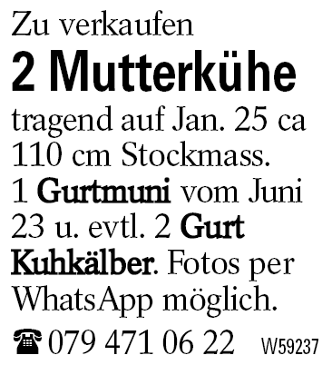 2 Mutterkühe