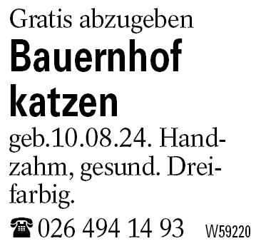 Bauernhof          katzen