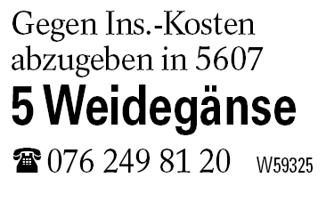 5 Weidegänse