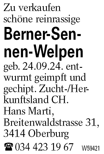 Berner-Sennen-Welpen