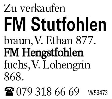 FM Stutfohlen