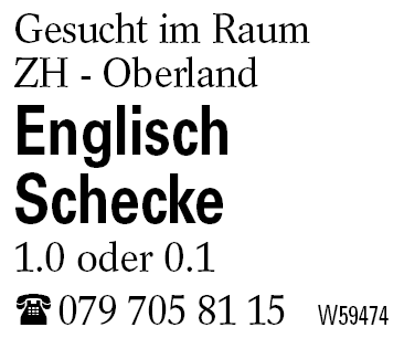 Englisch Schecke