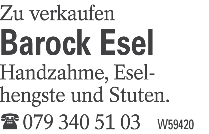 Barock Esel