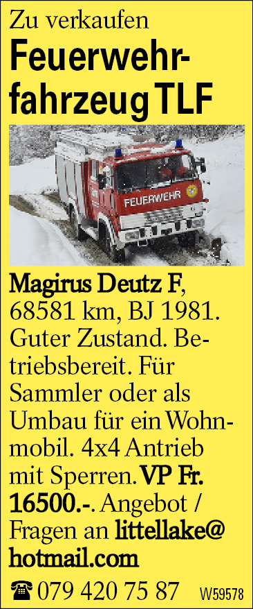 Feuerwehrfahrzeug TLF