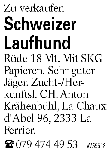 Schweizer Laufhund