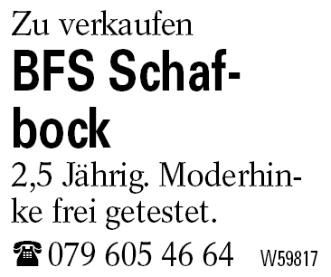 BFS Schafbock