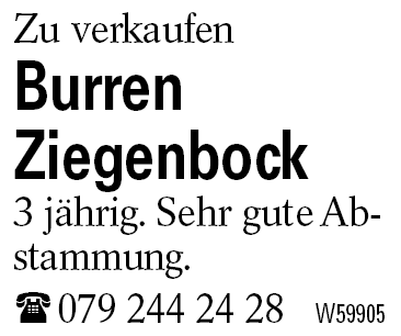 Burren          Ziegenbock