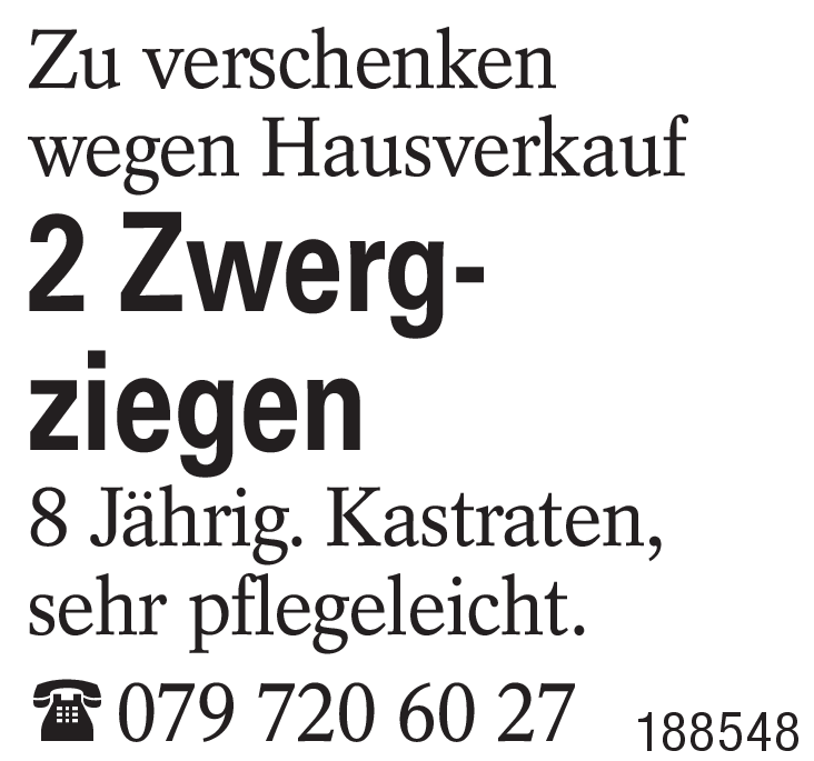 2 Zwerg-ziegen