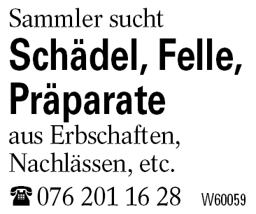 Schädel, Felle, Präparate