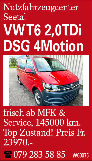 VW T6 2,0TDi DSG 4Motion