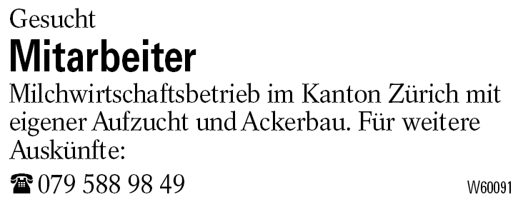 Mitarbeiter