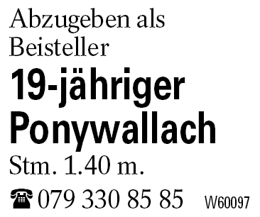 19-jähriger Ponywallach