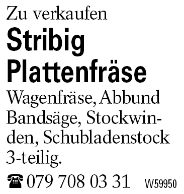 Stribig              Plattenfräse