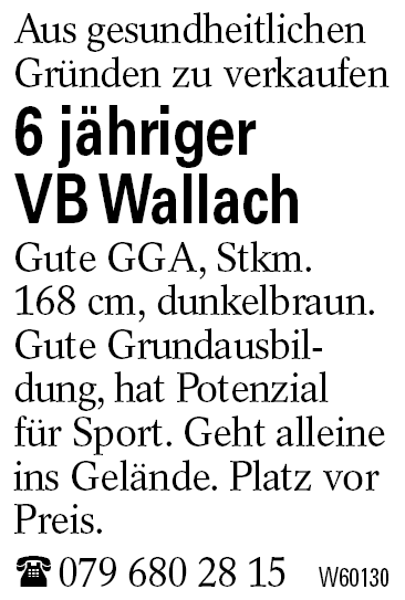 6 jähriger           VB Wallach