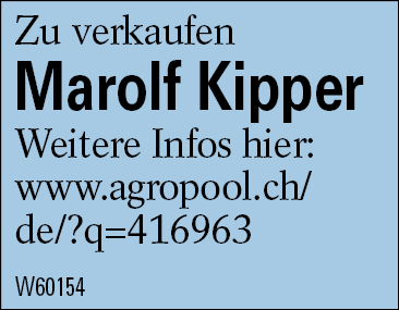 Marolf Kipper