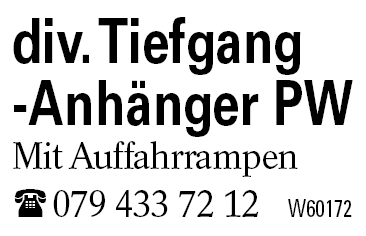 div. Tiefgang -Anhänger PW