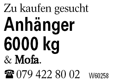 Anhänger 6000 kg