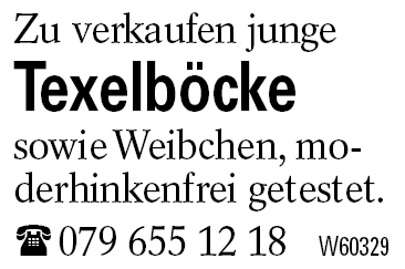 Texelböcke