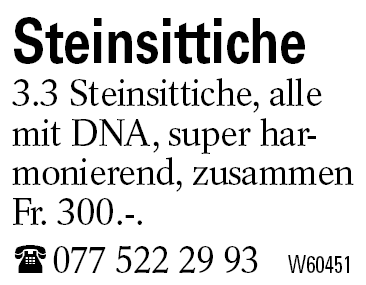 Steinsittiche