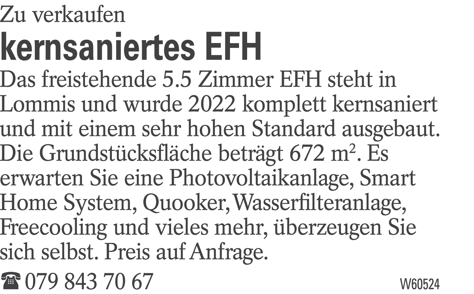 kernsaniertes EFH