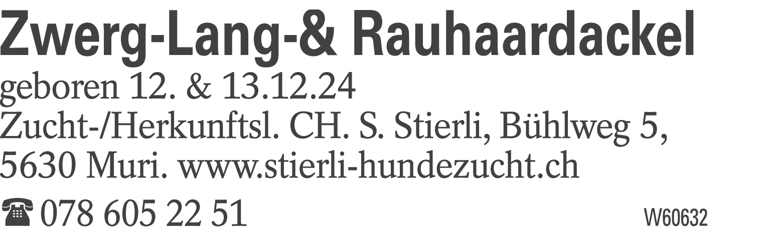 Zwerg-Lang-& Rauhaardackel