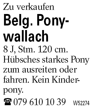 Belg. Ponywallach