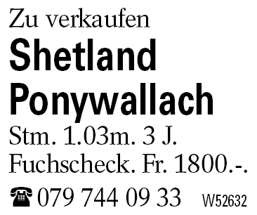 Shetland Ponywallach