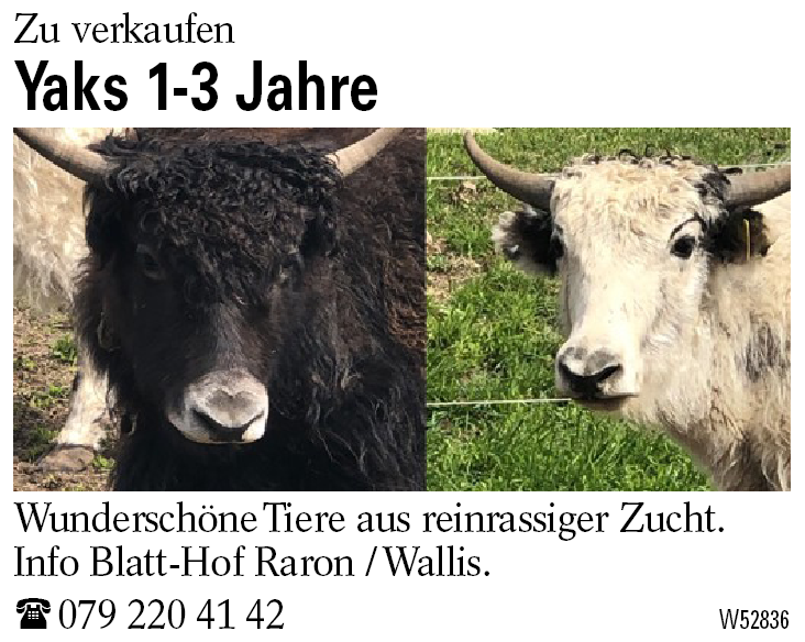 6 Stück Kälber-Entwöhnungsnasen - Naseninkubator Für Kühe Und Rinder