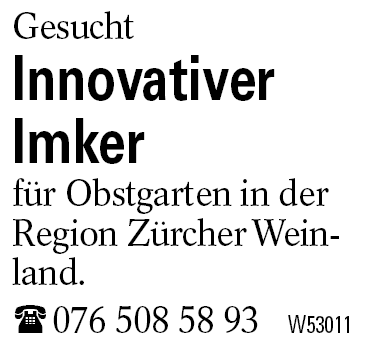 Innovativer Imker