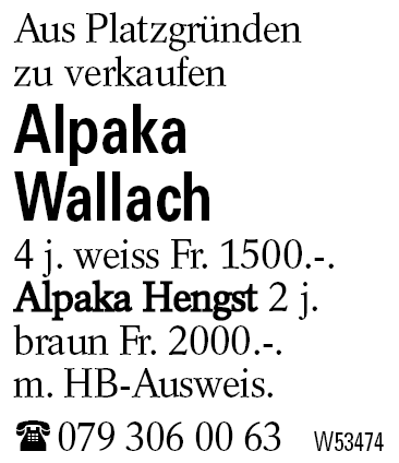 Alpaka               Wallach