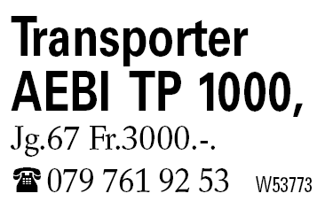 Transporter AEBI  TP 1000,